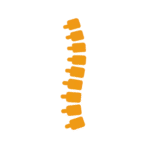 Spine icon representing osteopathy