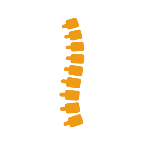 Spine icon representing osteopathy